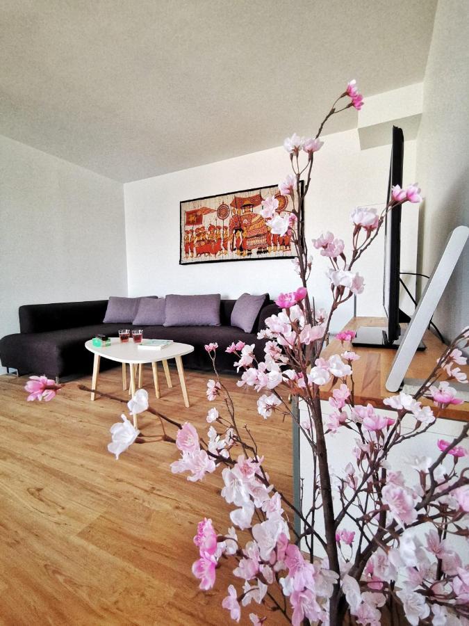 Ferienwohnung Le 79 Reflet De La Marne Noisy-le-Grand Exterior foto
